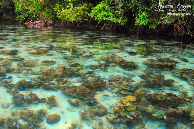 1746614_13662135167214