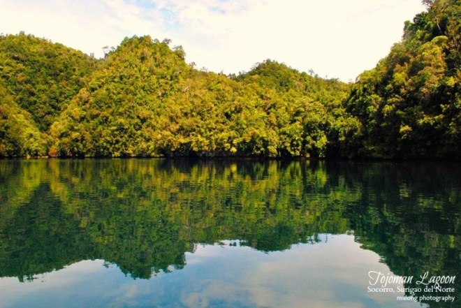 1746614_13662135189477