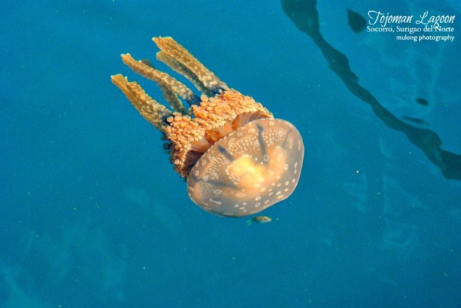 1746614_1366213522488