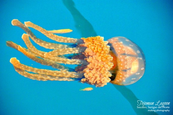 1746614_13662135239589