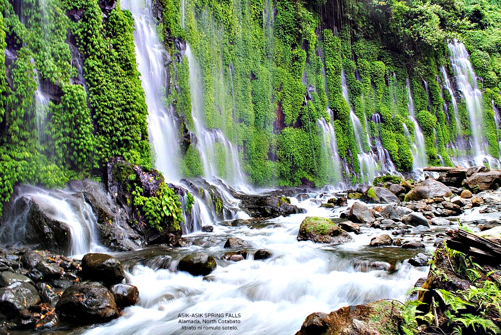 Majestic majestic!!!