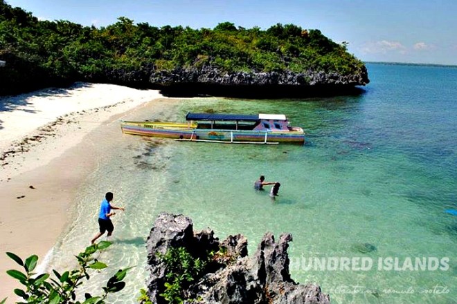 304214_244799695579828_1190750821_n