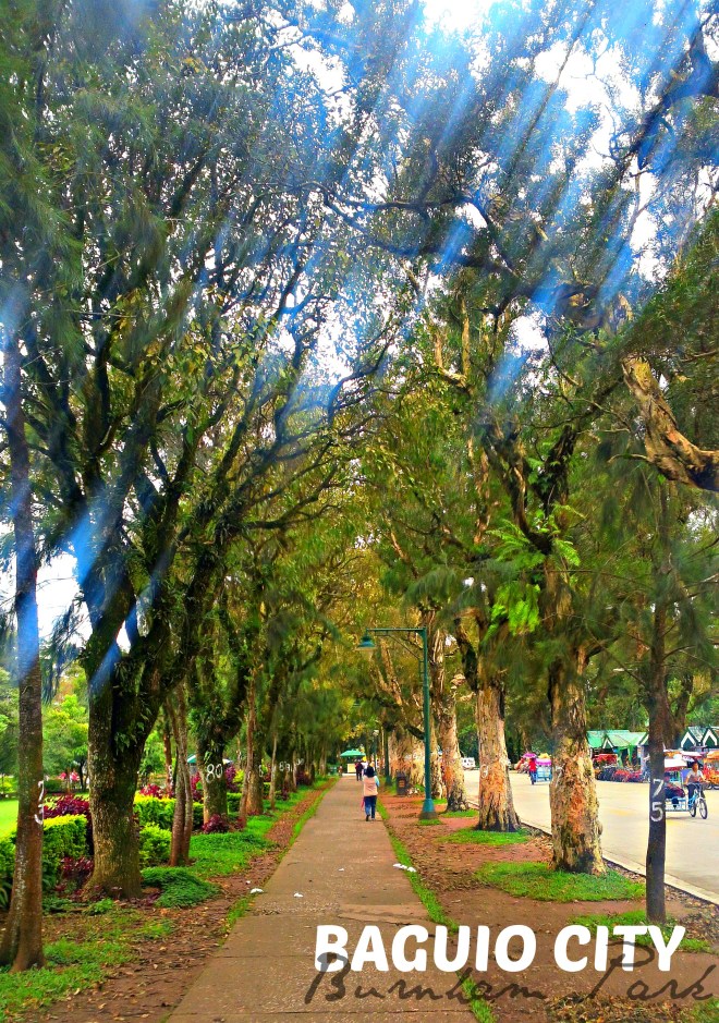 __________IMG_20150117_125201