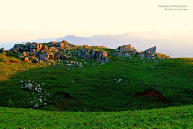 10390450_716024845123975_5450942301730356705_n