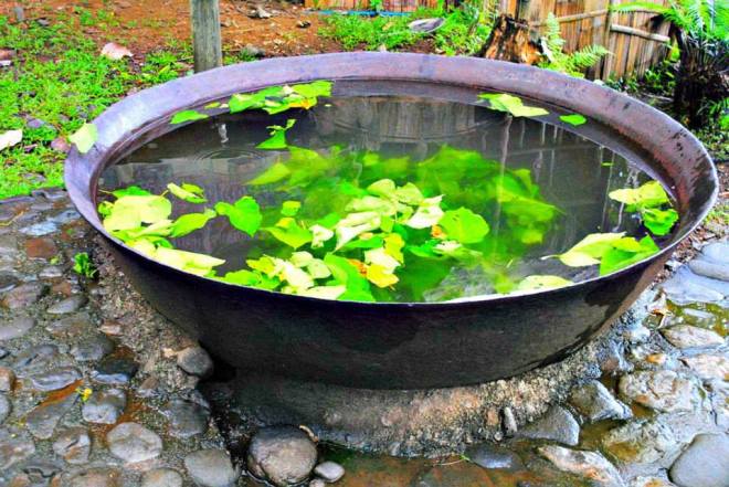 1450132_625223000870827_1474465172_n