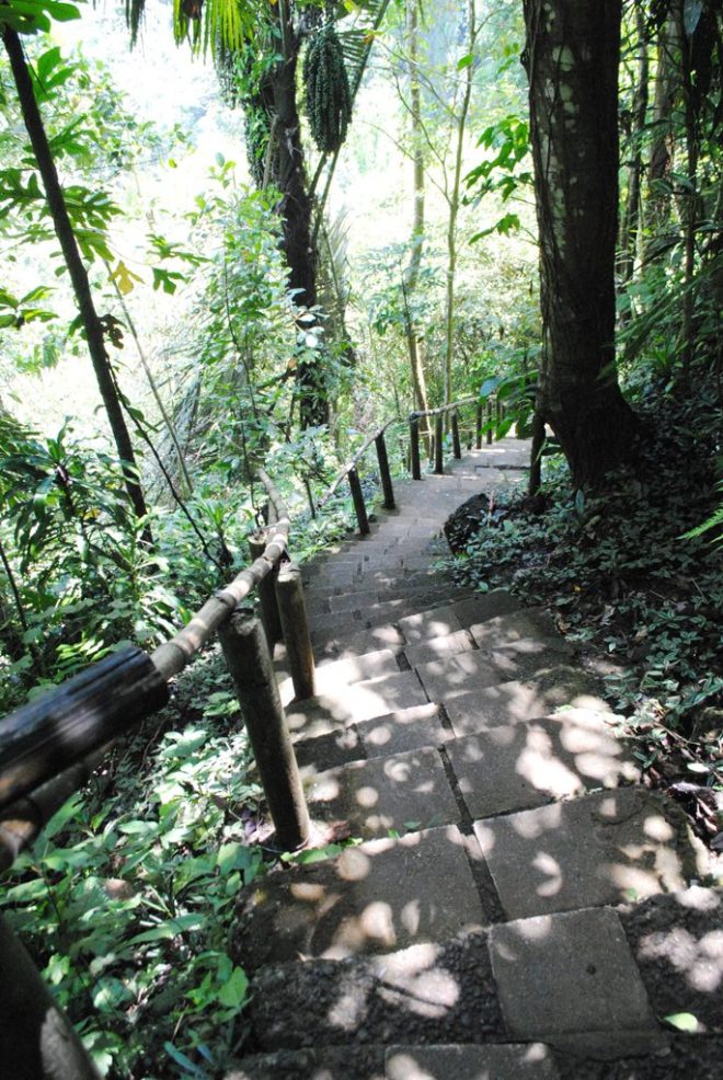 Way going down down down.