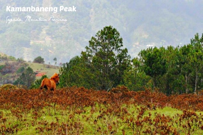 10270777_698670663526060_6358690123751721843_n