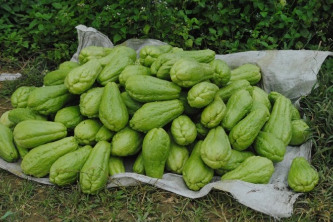 1746614_13471545999026