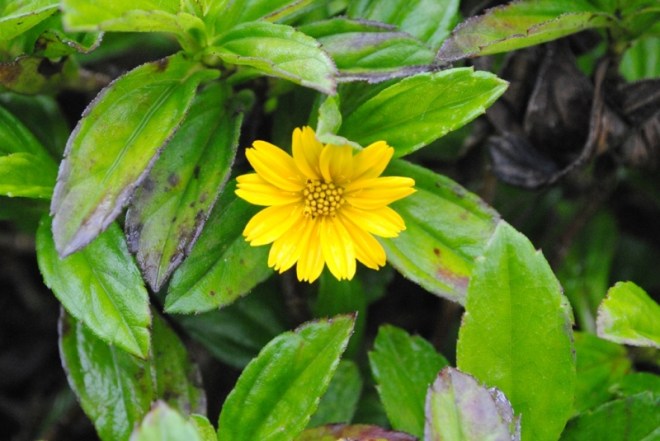 1746614_13471546003283