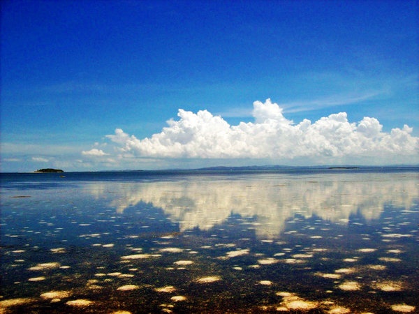 1746614_12931469822258