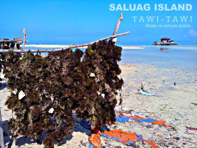 00IMG_20150814_091114