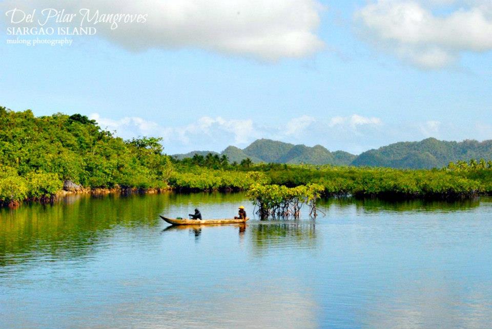 644659_513665808693214_1133632089_n