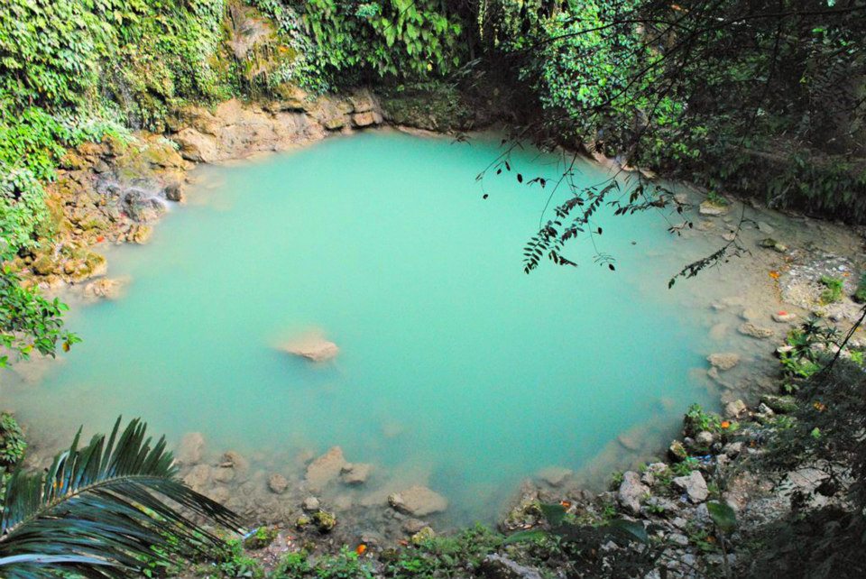 936251_520734497986345_1641432998_n