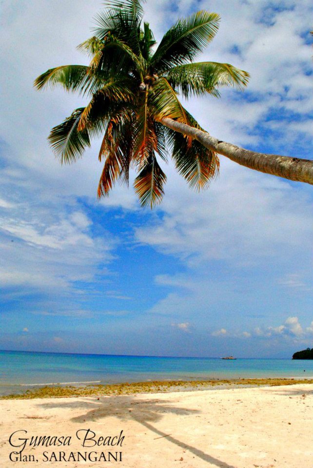 563715_514065165319945_462750844_n