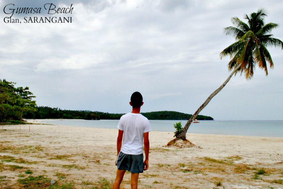 603798_514068575319604_222710565_n