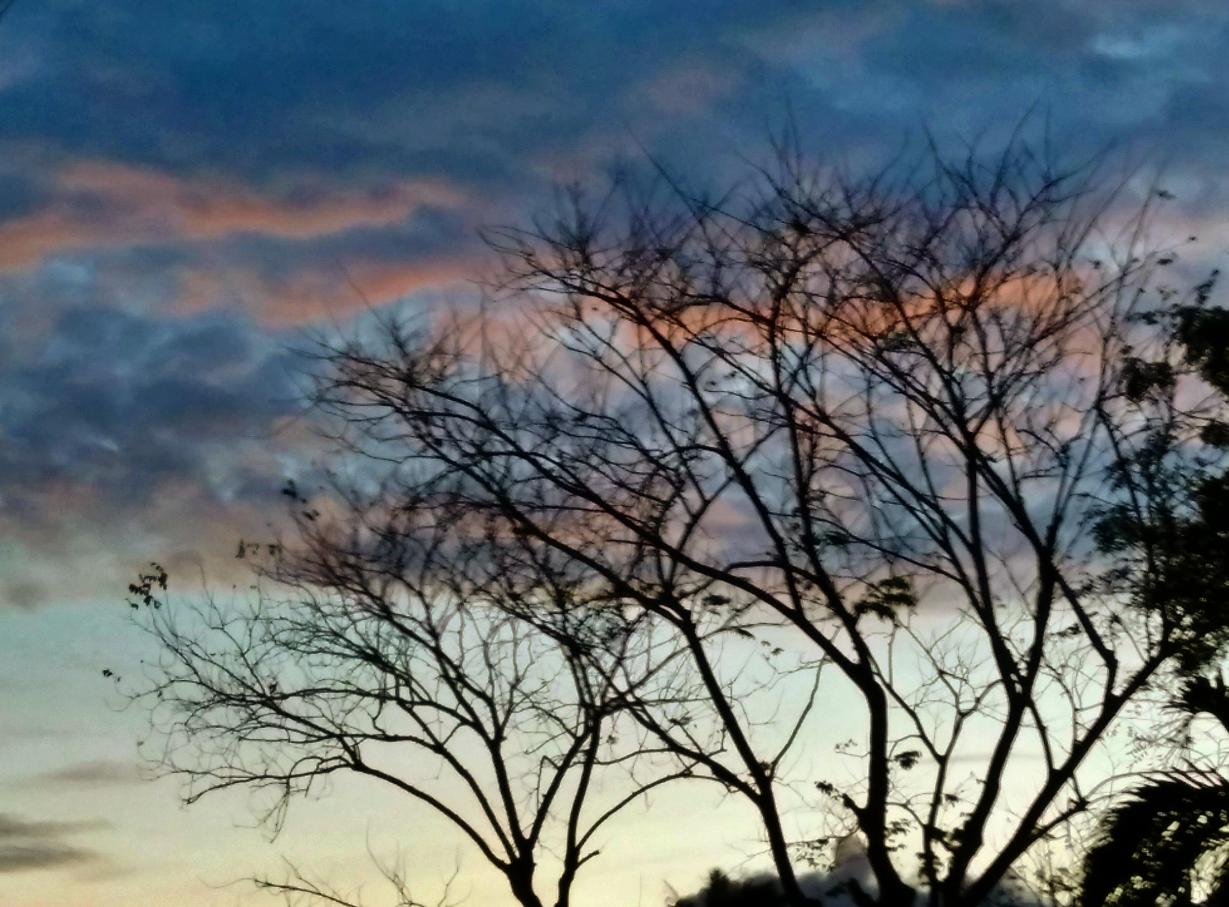 img_20170121_061201_248