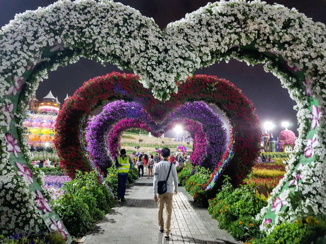 IMG_20171122_200617_254