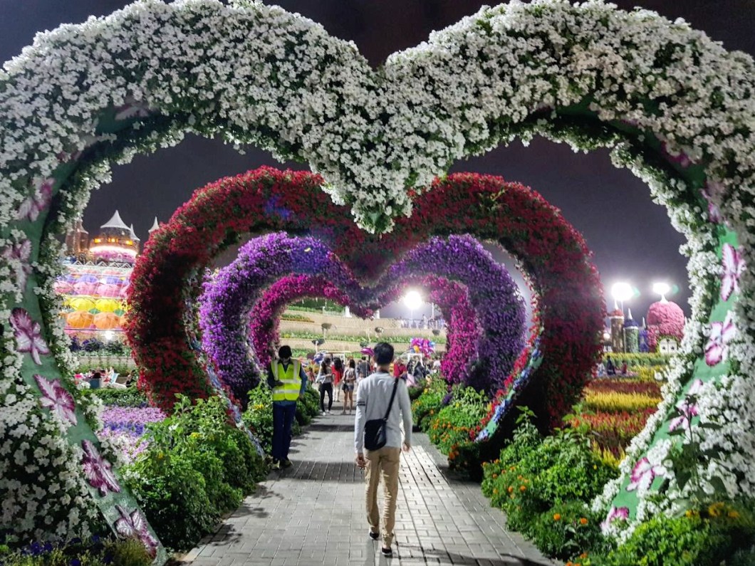 IMG_20171122_200617_254