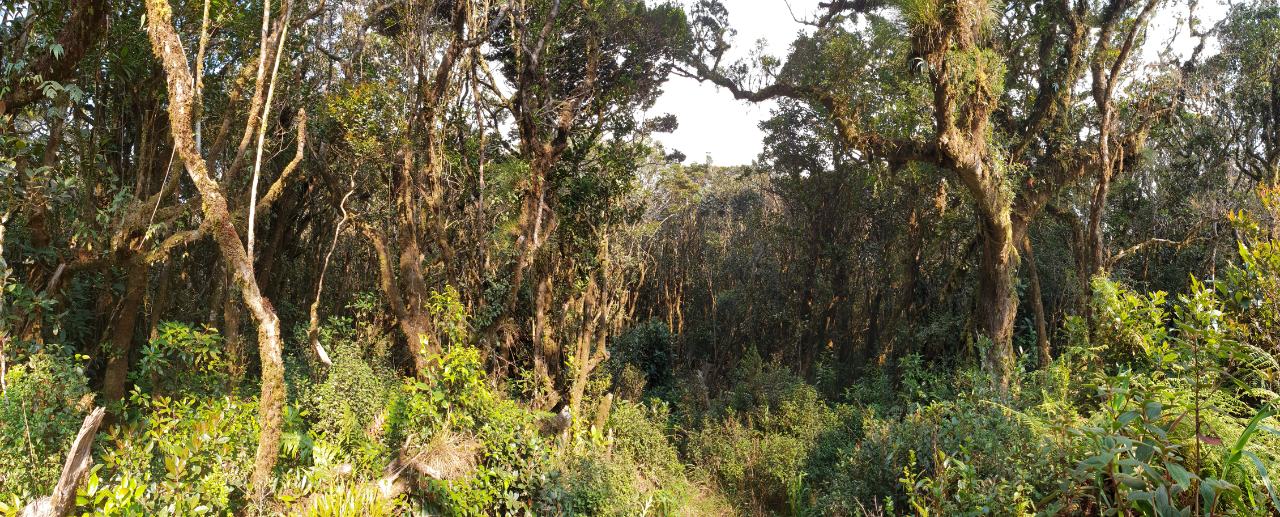 IMG-4fec4d32e030790bd8f9b2d458f4c154-V