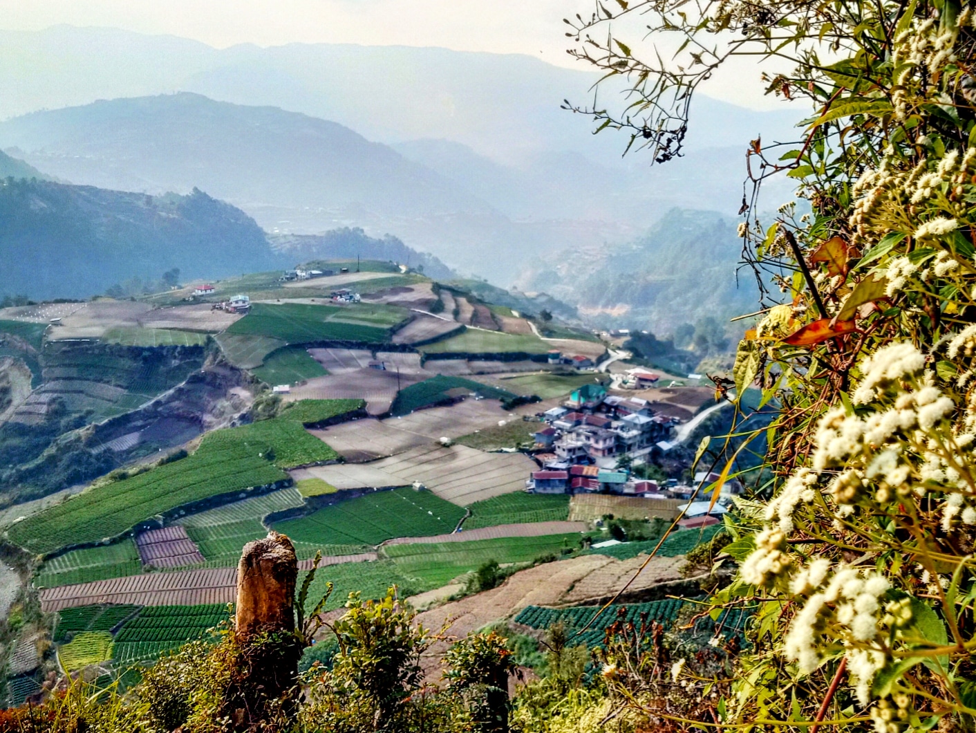 IMG_20190225_081813_863