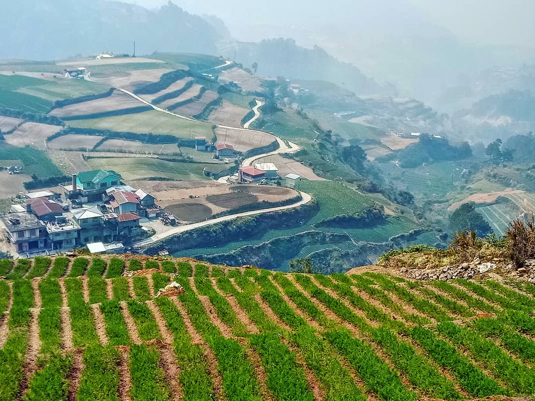 IMG_20190225_113947_033