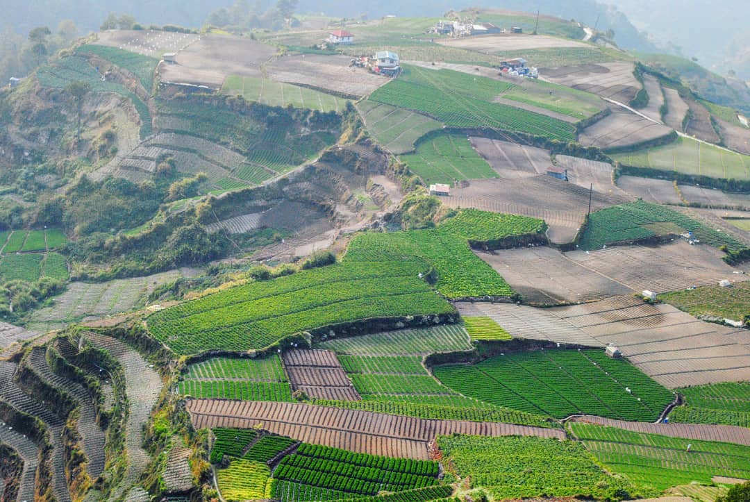 IMG_20190226_075028_418