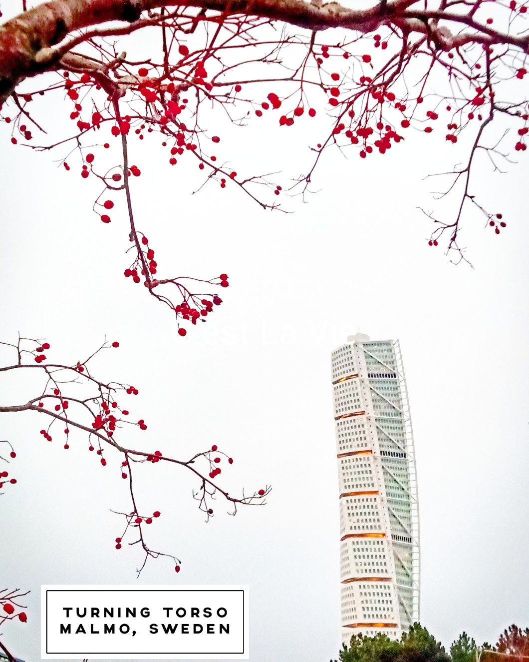 IMG_PITU_20191230_160142