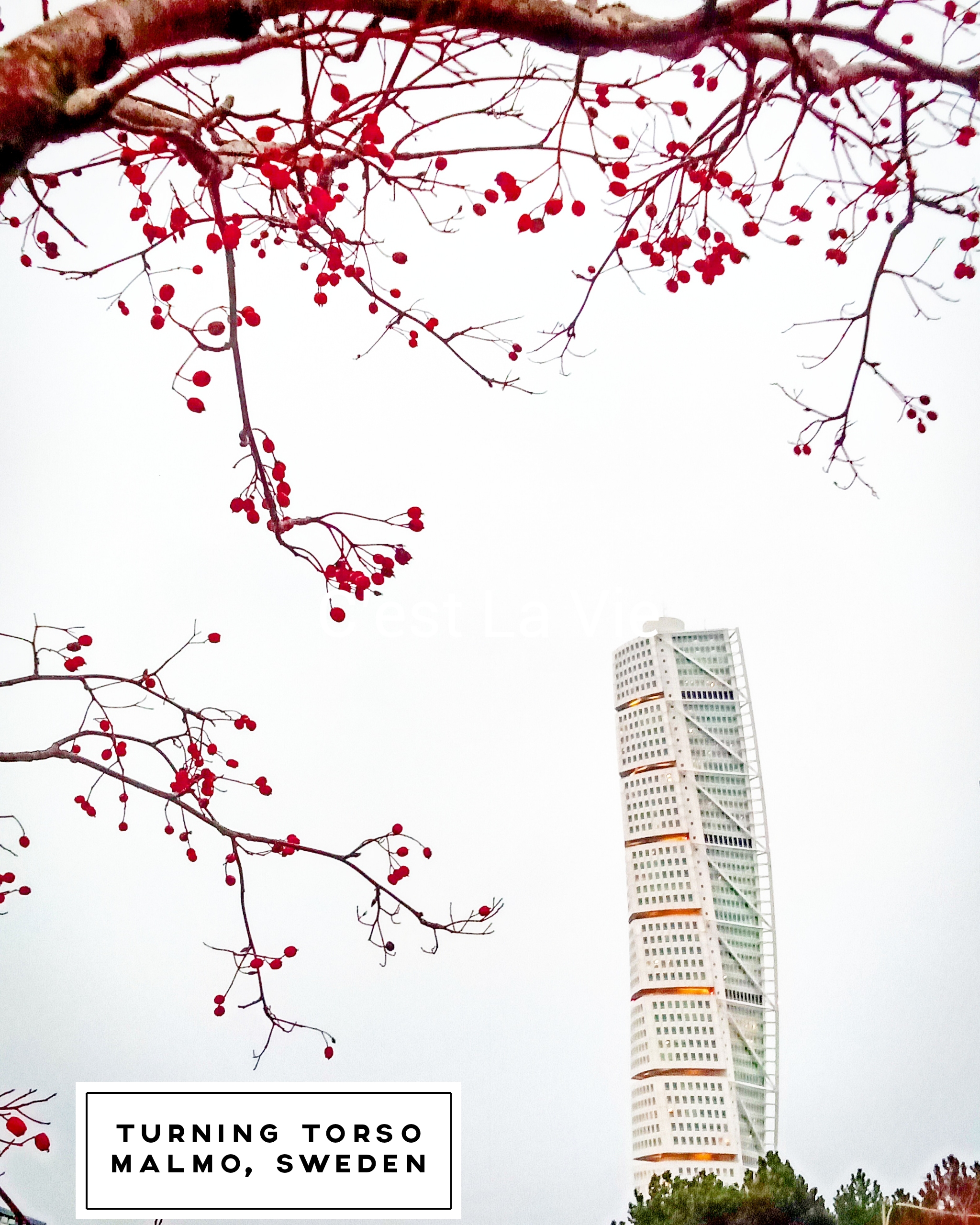 IMG_PITU_20191230_160142